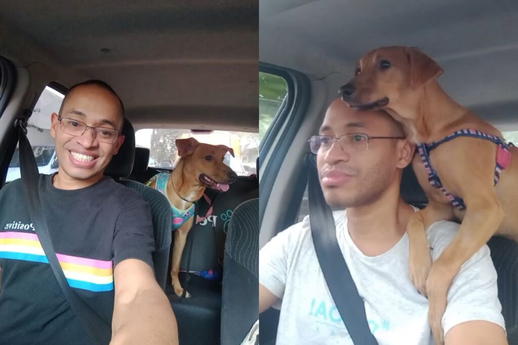 “taxista-de-pets”-volta-a-trabalhar-apos-acidente;-relembre-a-historia