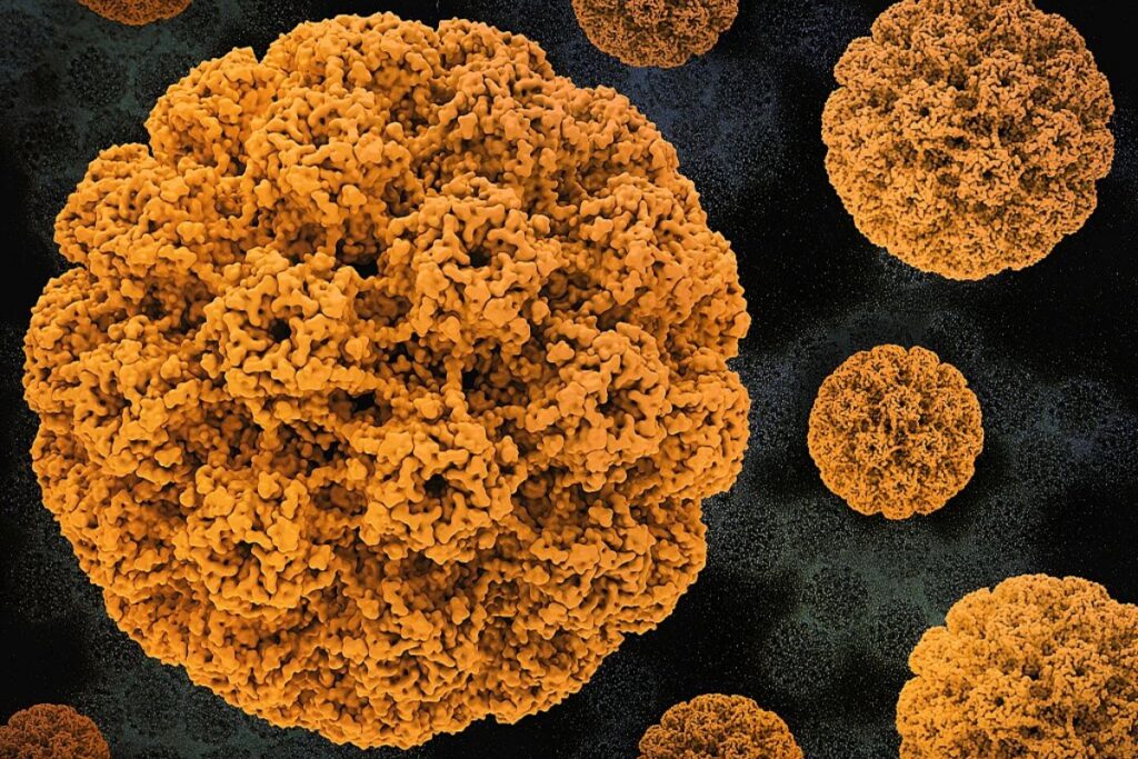 estudo-mostra-que-acidez-do-corpo-impulsiona-crescimento-do-cancer