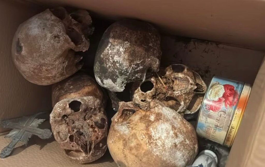 misterio-em-sp:-policia-acha-12-cranios-em-apartamento-nos-jardins