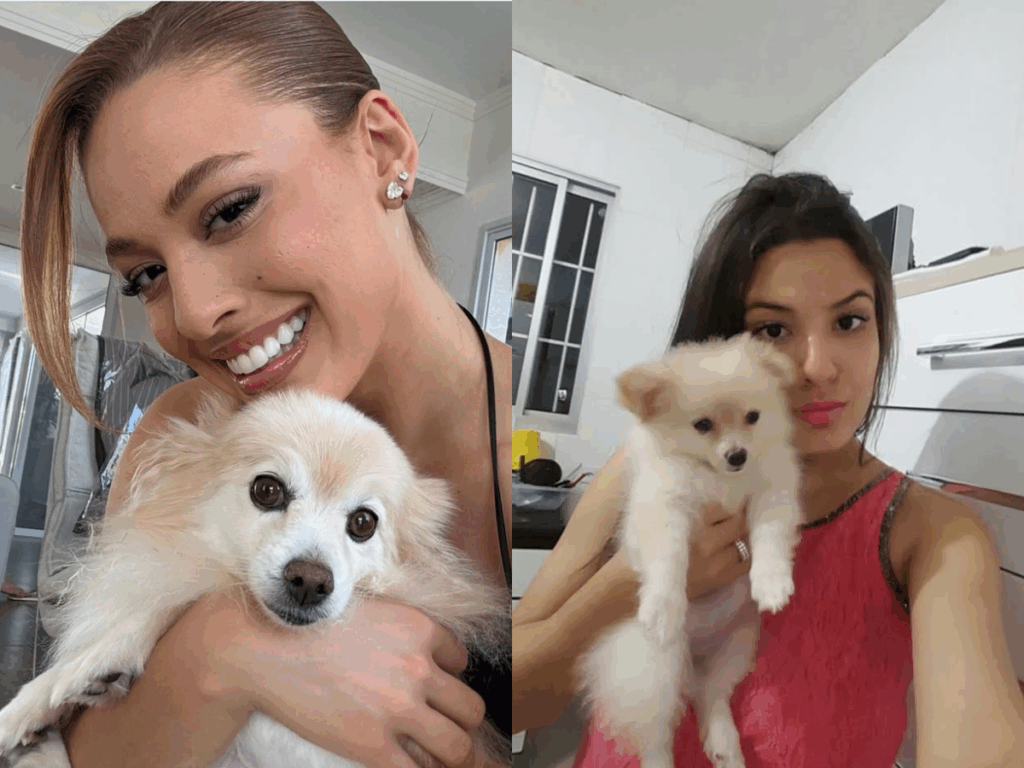 bia-do-bras-lamenta-morte-de-sua-cachorrinha-de-estimacao:-“a-casa-esta-vazia,-sem-vida”