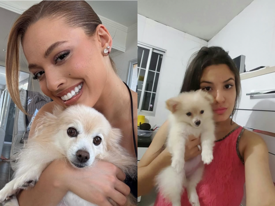 Bia do Brás lamenta morte de sua cachorrinha de estimação: “A casa está vazia, sem vida”