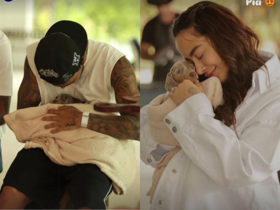 Família cresceu! Gabigol e Rafaella Santos adotam cão após reatarem namoro