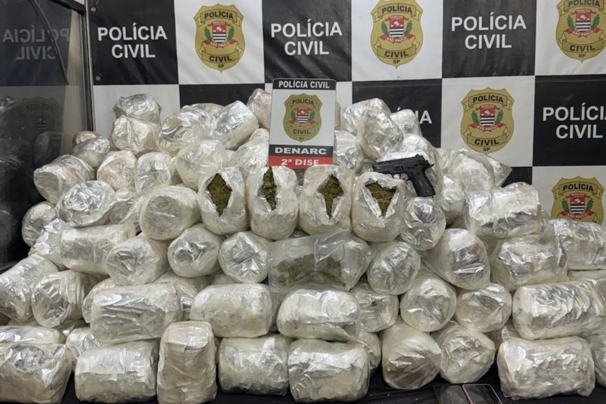 Mais de 130 kg de “super maconha” são apreendidos na zona norte de SP