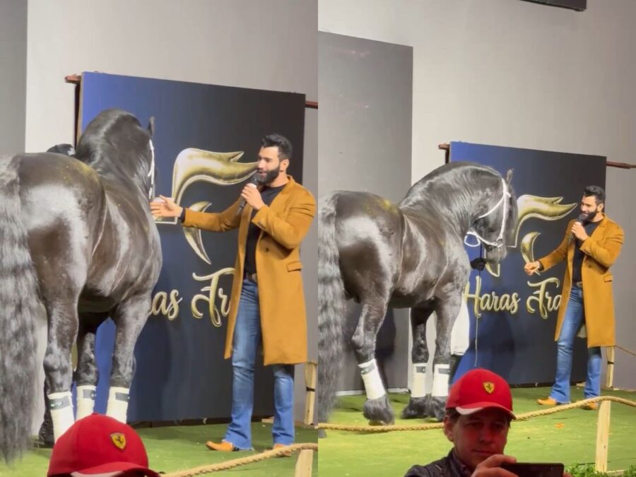 Andressa Suita curte haras de Gusttavo Lima e posa com cavalo de mais de R$ 5 milhões