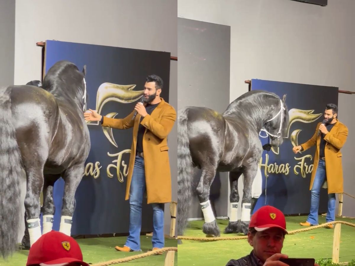 Andressa Suita curte haras de Gusttavo Lima e posa com cavalo de mais de R$ 5 milhões