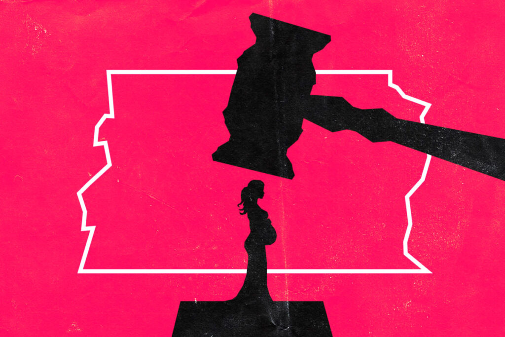 o-aborto-que-o-brasil-nao-quer-ver-(por-thais-cremasco)