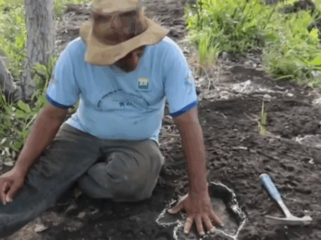 pesquisadores-encontram-pegadas-de-dinossauros-em-roraima:-“mais-de-10-metros!”