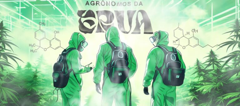 venda-de-“sementes-da-noia”-faz-agronomos-da-erva-pegarem-pena-pesada