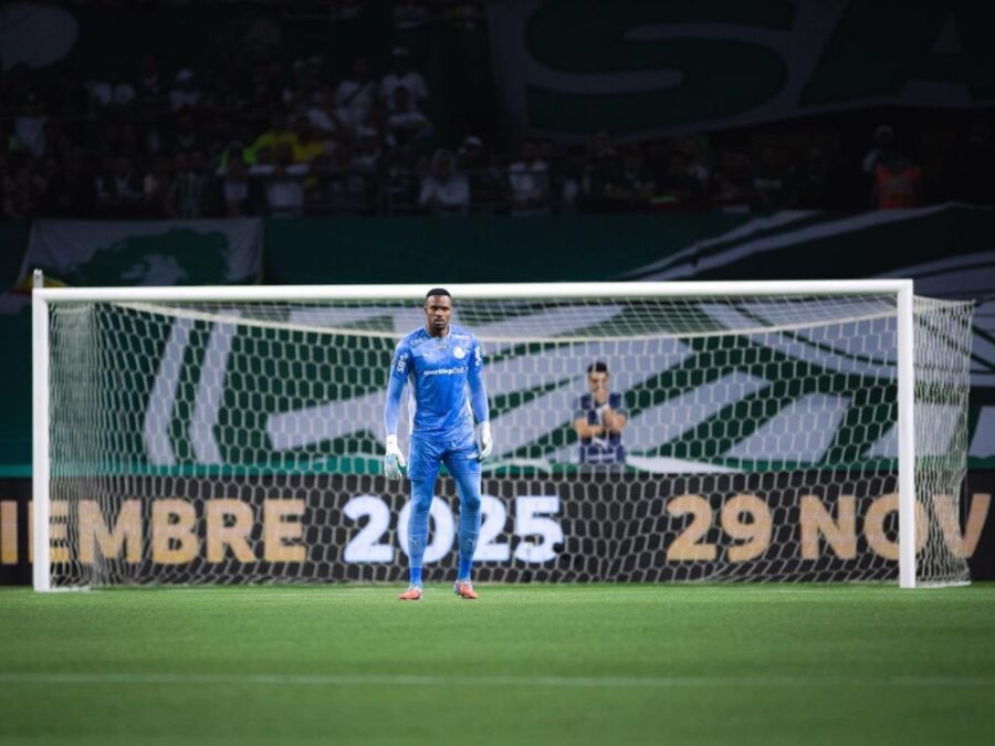 Carlos Miguel celebra classificação histórica do Palmeiras à final da Libertadores