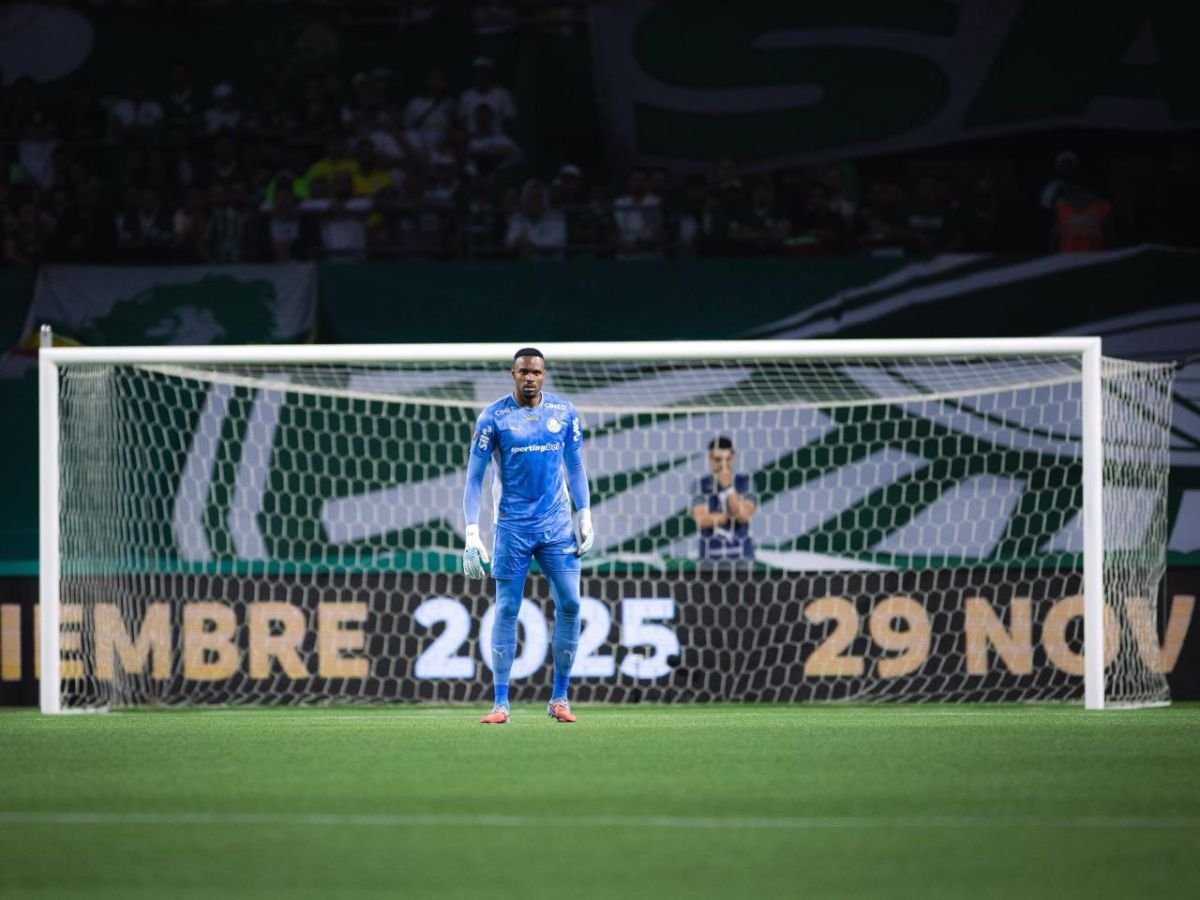 Carlos Miguel celebra classificação histórica do Palmeiras à final da Libertadores
