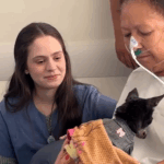 Captura de tela 2025-10-31 101318