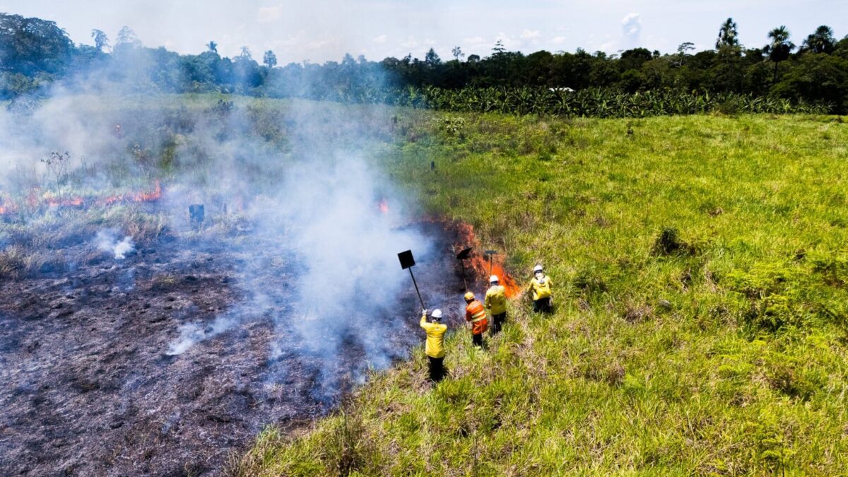 Acre reduz desmatamento em 27,6% e já atinge metas previstas para 2027