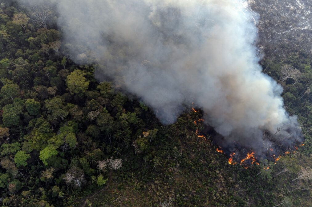 Calor recorde: Amazônia tem aumento de 1,5°C e enfrenta maior temperatura em quatro décadas