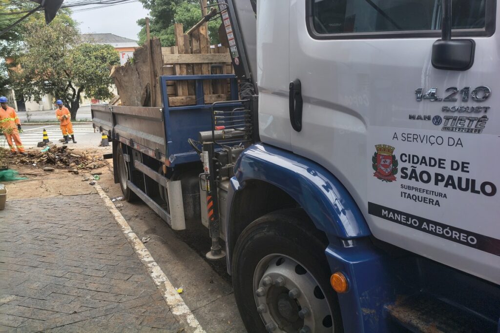 poda-de-arvores:-1/3-dos-pedidos-feitos-este-ano-em-sp-esta-em-aberto