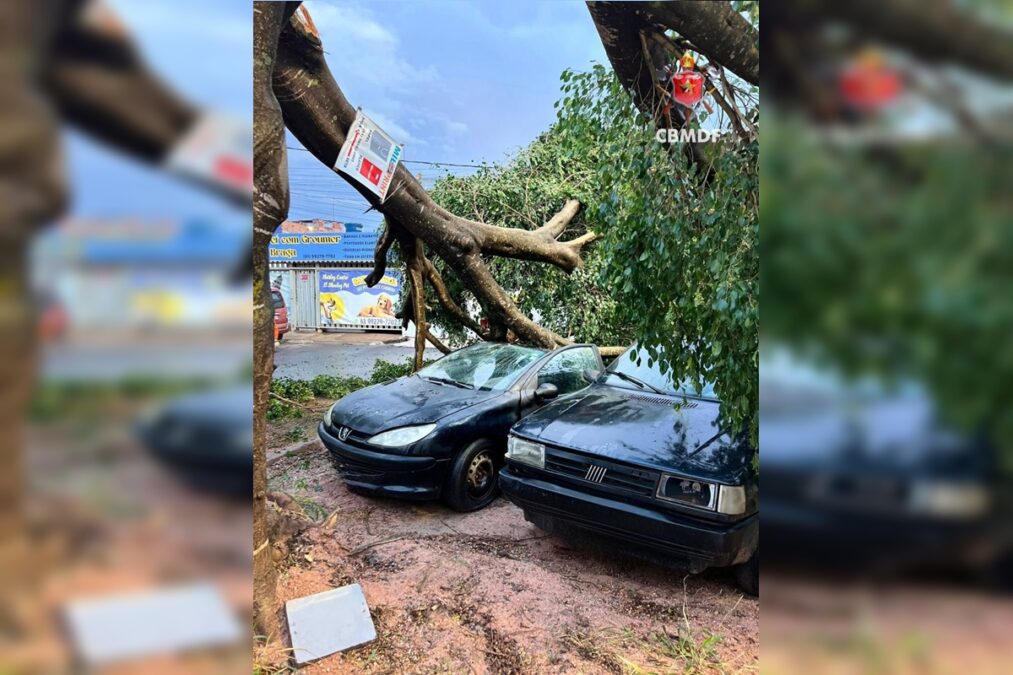 Chuva forte derruba árvores e causa estragos em casas em região do DF