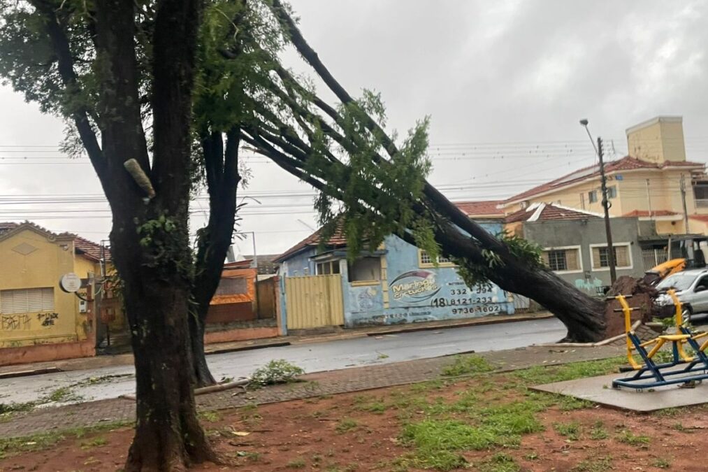 Prefeitura de Assis suspende aulas após estragos causados por temporal