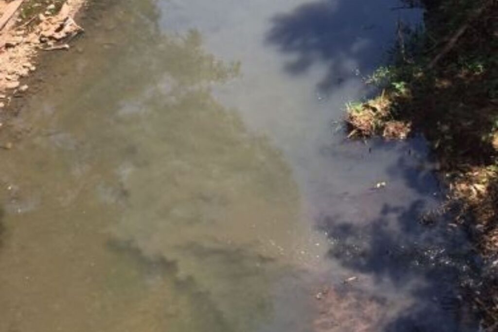 sp:-corpo-de-mulher-arrastada-por-enxurrada-e-encontrado