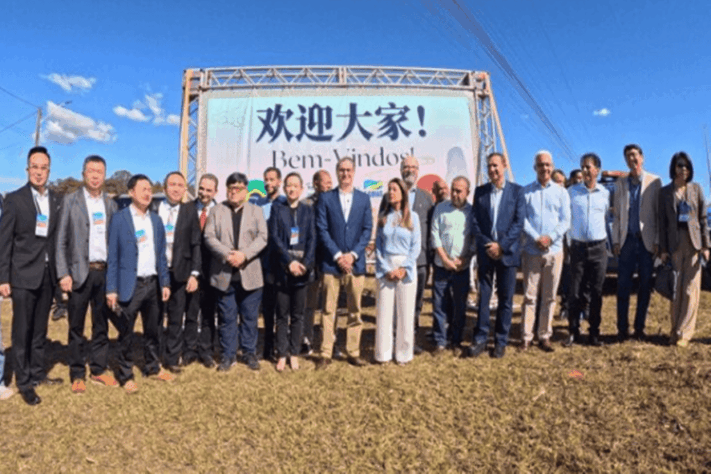 minerio-e-led:-quem-sao-os-chineses-por-tras-de-megaprojeto-no-entorno