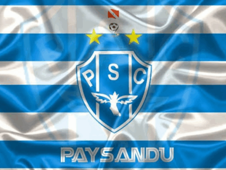 so-a-derrota-interessa?-torcida-do-paysandu-pede-que-time-perca-para-prejudicar-rival
