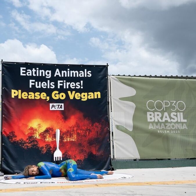 Luisa Mell usa corpo como manifesto na COP30 e faz apelo: “Por favor, seja vegano!”