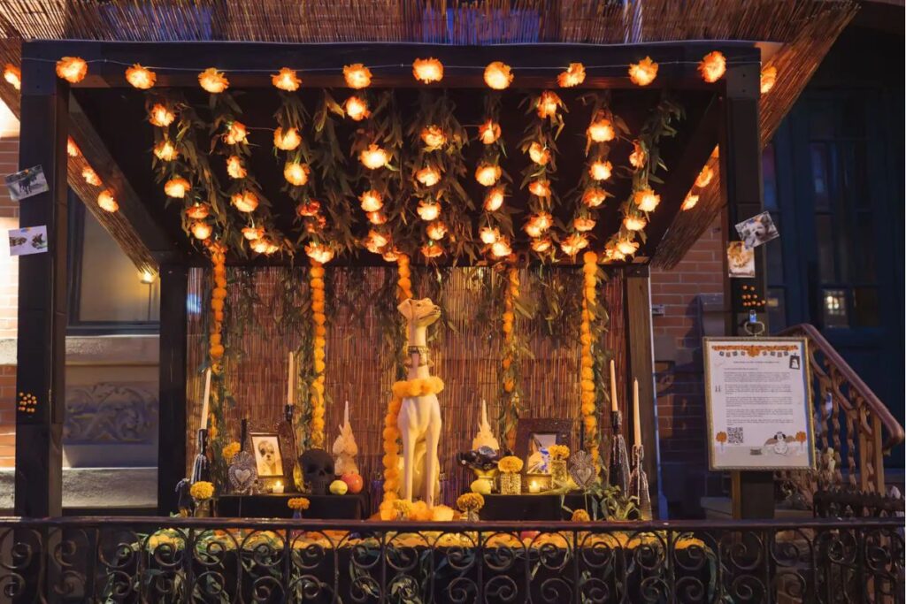 tutora-faz-homenagem-diferente-para-cao-falecido-e-comove-a-web