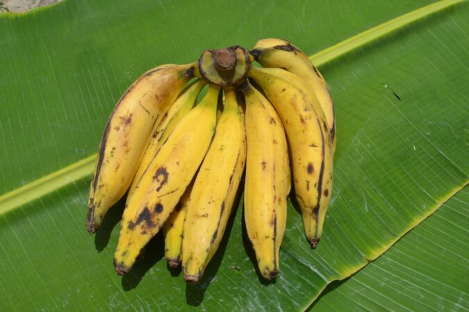 nao-deixe-estragar:-veja-erro-comum-na-hora-de-guardar-frutas
