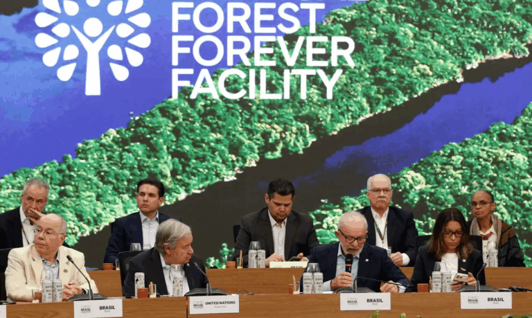 alemanha-confirma-apoio-a-fundo-brasileiro;-valor-da-contribuicao-fica-em-aberto
