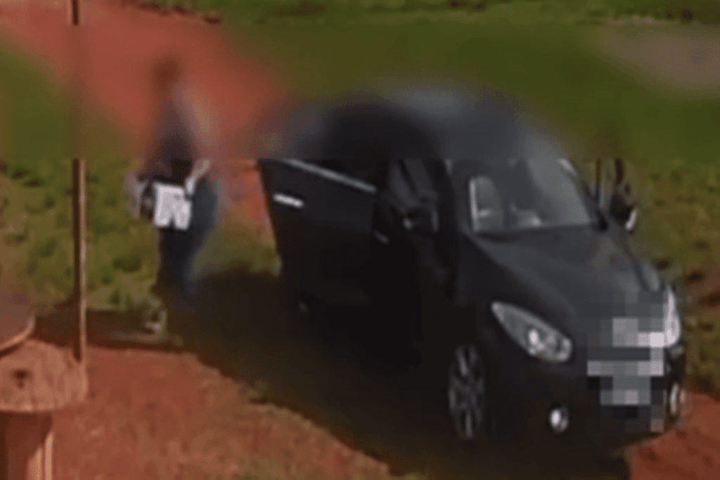 video-revoltante-mostra-mulher-abandonando-cadela-e-filhotes-na-chuva