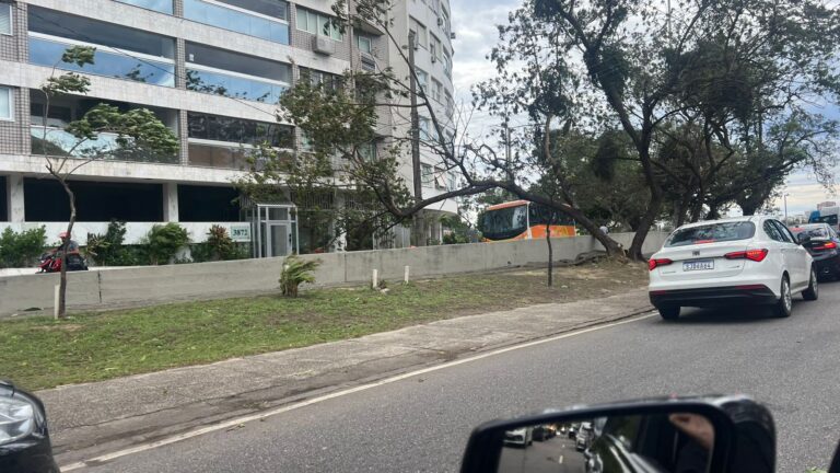 ventania-assusta-moradores-e-derruba-arvores-no-rio