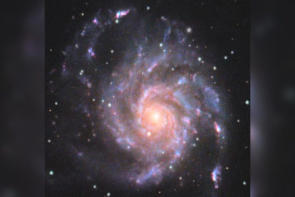 deus-agora-e-o-planeta-(por-miguel-esteves-cardoso)