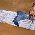 homem-invade-petshop-em-sp,-rouba-filhote-e-causa-confusao;-animal-e-encontrado