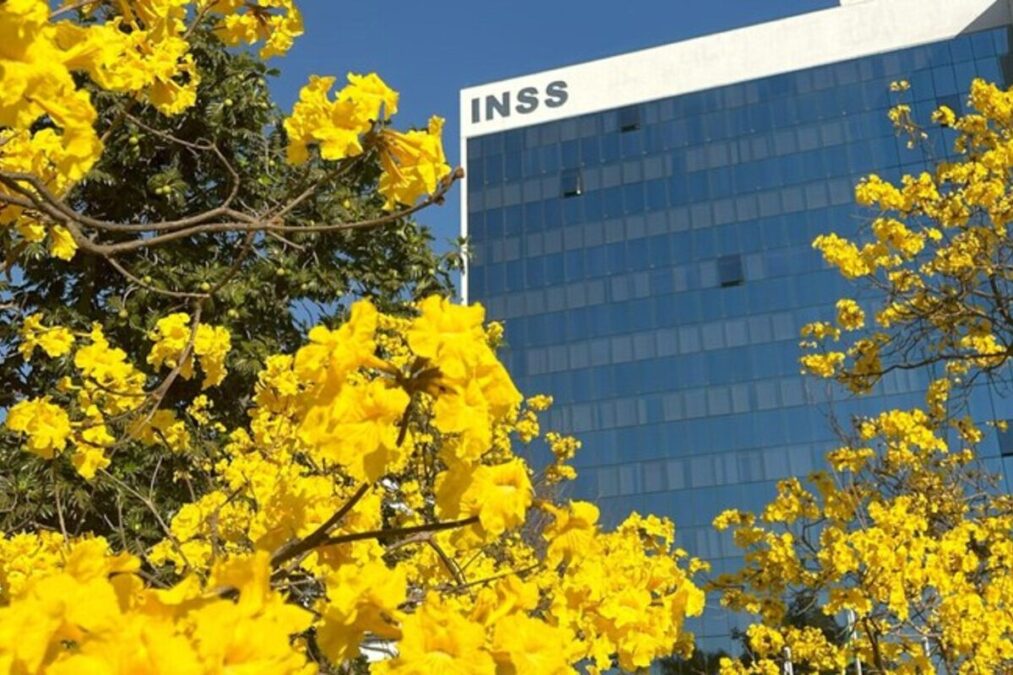 Farra do INSS: antes de gerir ONG investigada, presidente era motorista
