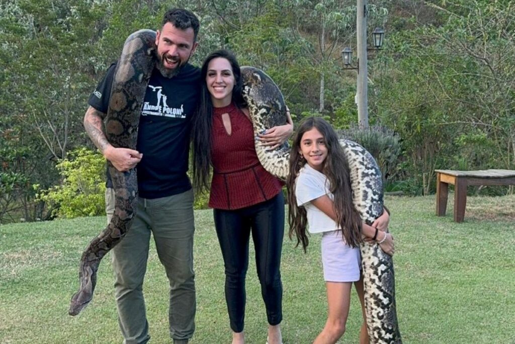 mais-de-100-animais:-familia-de-sp-tem-cobras,-jacare-e-macaco-em-casa