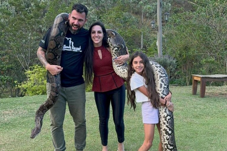 mais-de-100-animais:-familia-de-sp-tem-cobras,-jacare-e-macaco-em-casa