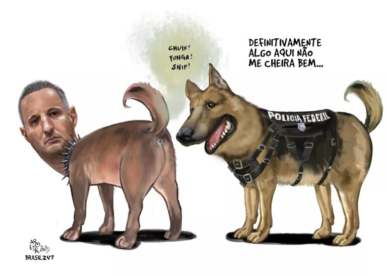 charge-do-aroeira