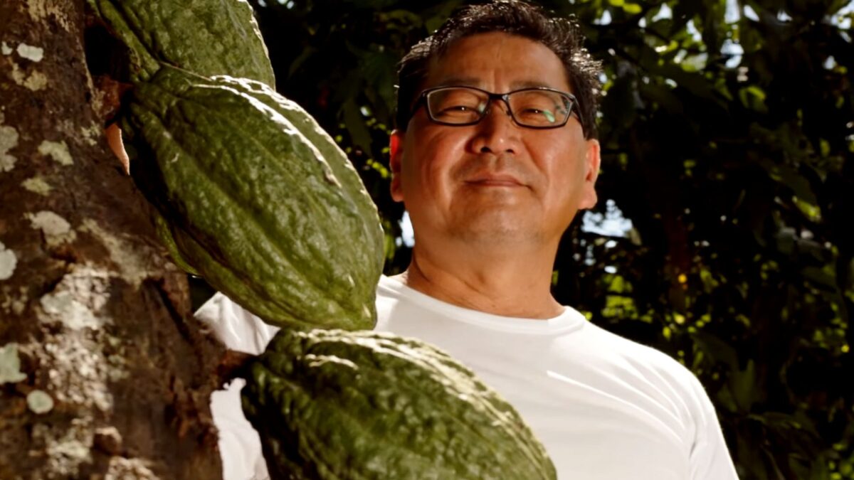 Crédito sustentável redefine o futuro produtivo da Amazônia