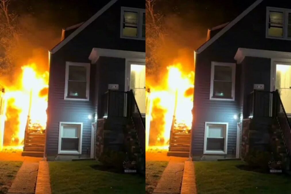 Cachorro de raça mini vira o grande herói da família durante incêndio
