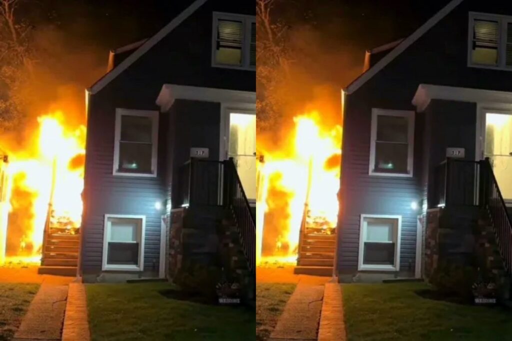 cachorro-de-raca-mini-vira-o-grande-heroi-da-familia-durante-incendio