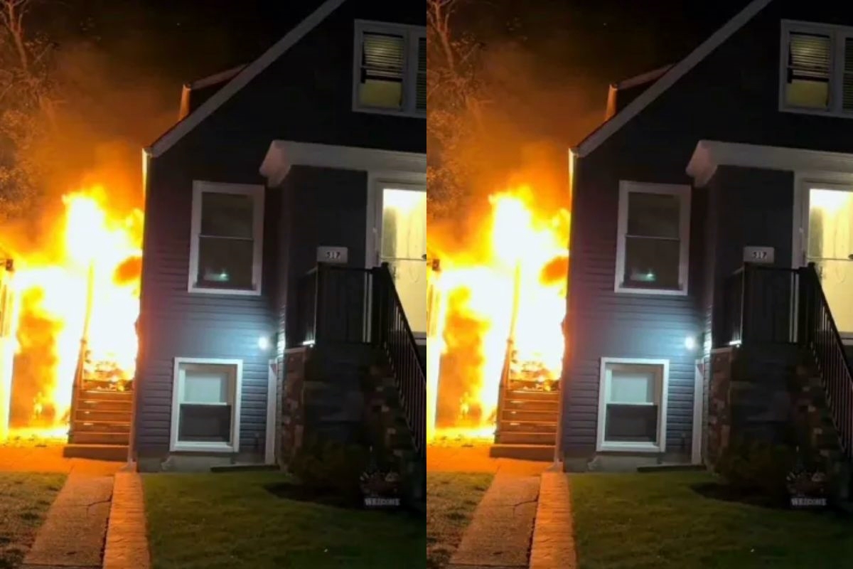 cachorro-de-raca-mini-vira-o-grande-heroi-da-familia-durante-incendio