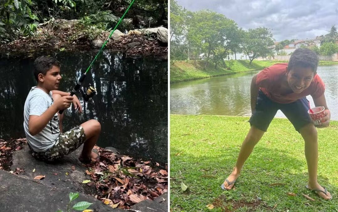 Menino é atacado por abelhas e sofre mais de 1.500 picadas em Goiás