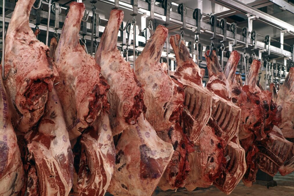 Tarifas dos EUA: veja quais produtos tiveram redução de 10%