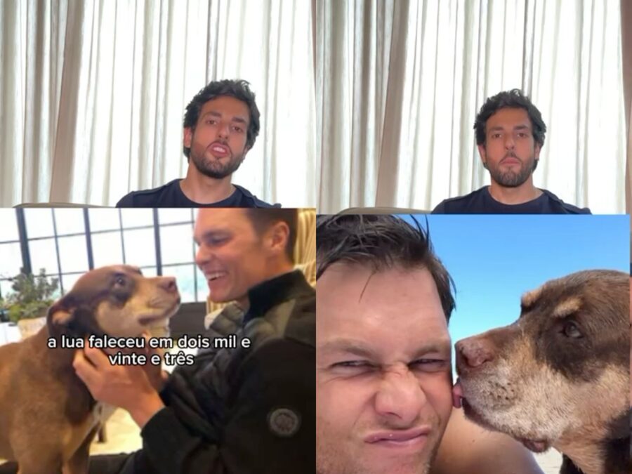 Tom Brady clona sua cadela e divide opiniões sobre clonagem de pets