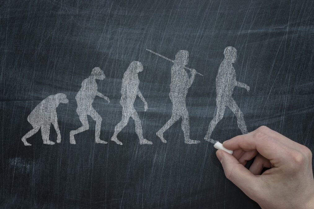 Criança pode ser elo mais antigo entre nós e neandertais, diz estudo