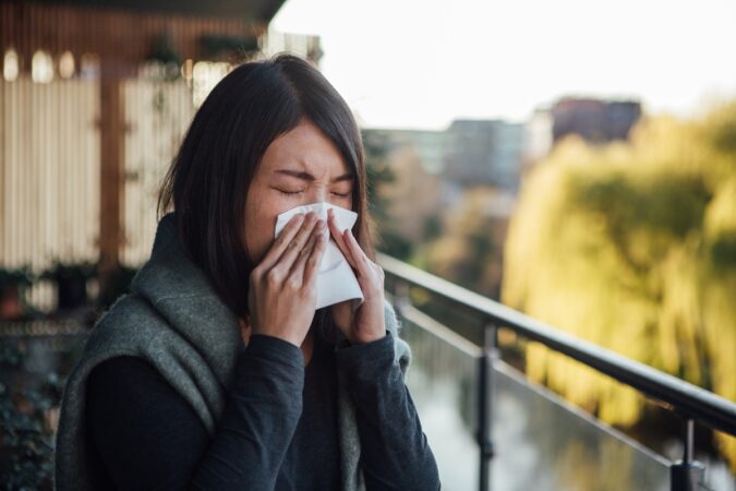 veja-as-melhores-racas-de-caes-para-pessoas-com-alergia