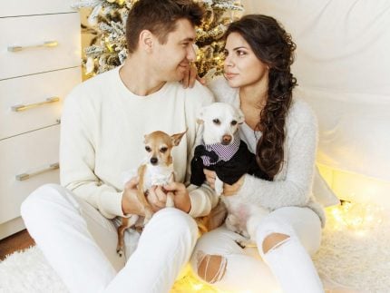 estudo-aponta-que-tutores-evitam-se-relacionar-com-quem-nao-gosta-de-pets