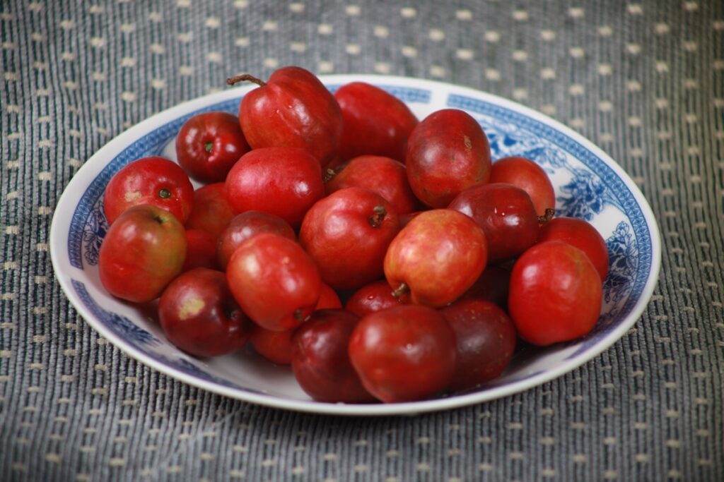 planta-com-frutos-ricos-em-vitamina-c-e-perfeita-para-cultivar-em-casa