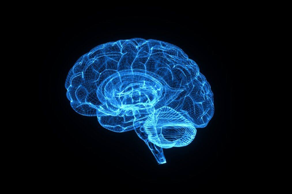 Adolescência eterna: estudo sugere que fase se estende até os 32 anos