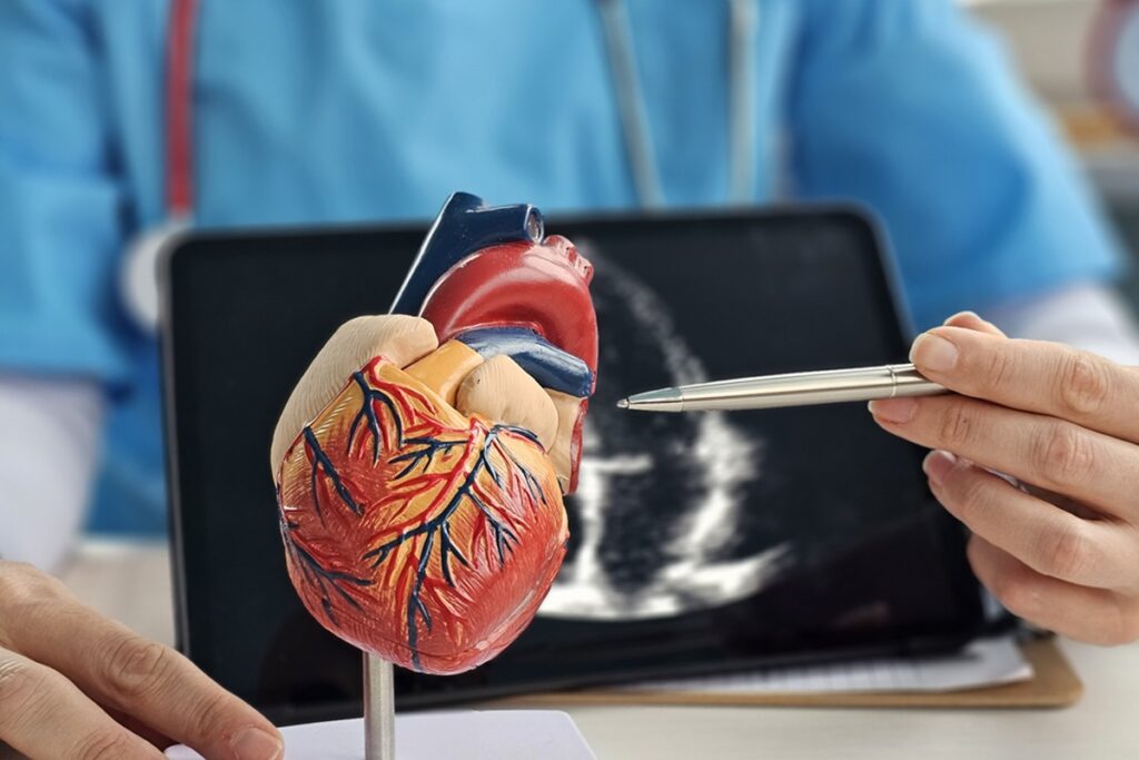 oleo-ajuda-a-reduzir-inflamacao-nas-arterias-e-age-contra-o-colesterol