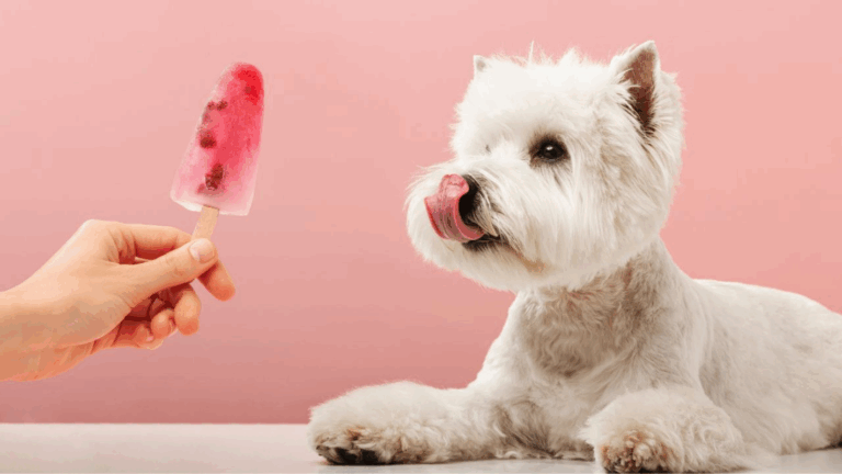 sete-dicas-para-deixar-o-ambiente-fresquinho-para-os-pets-no-calor