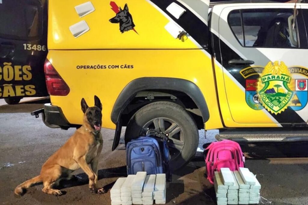 megaoperacao-mira-grupo-que-movia-1,5-tonelada-de-drogas-por-mes